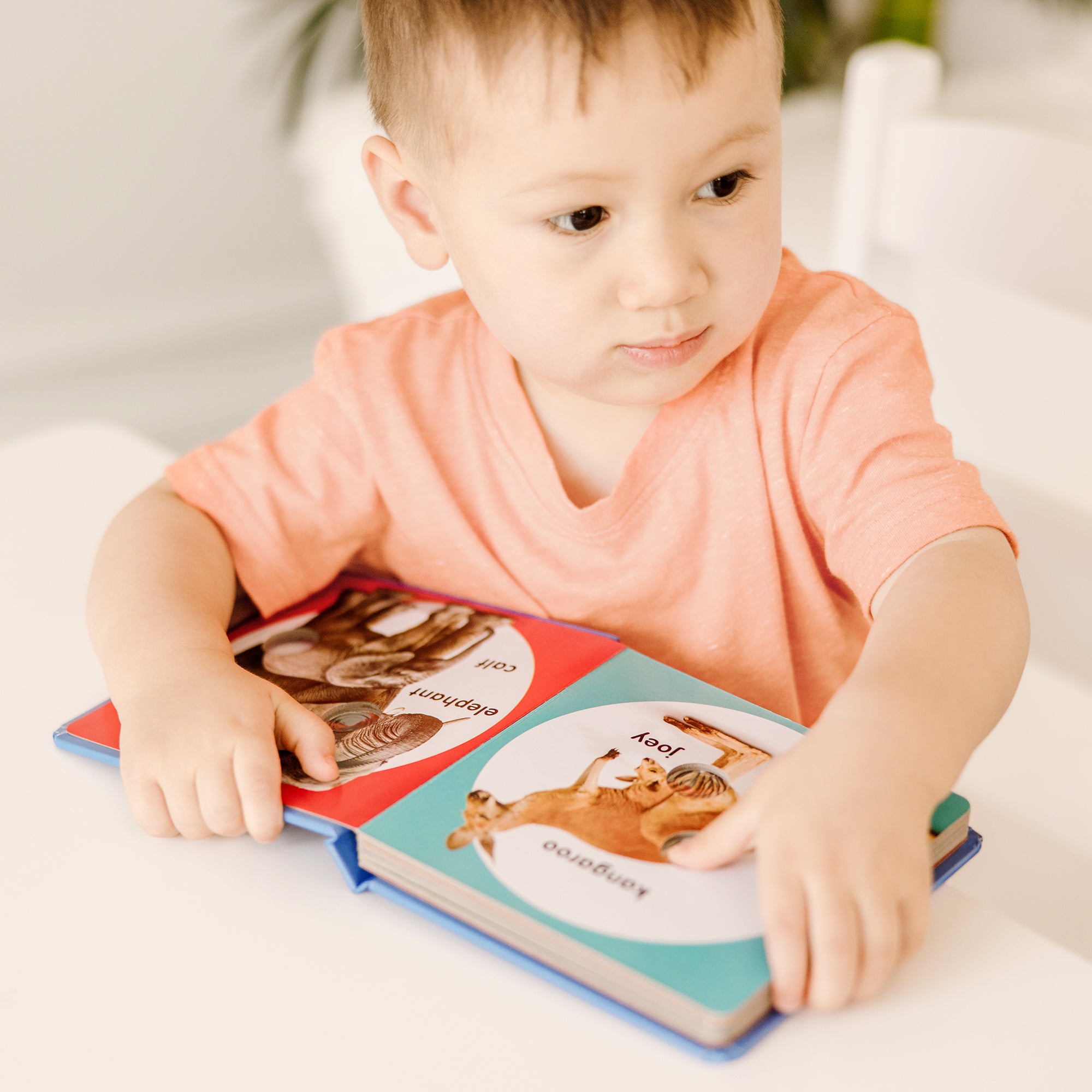 Melissa & Doug Poke-a-Dot: Wild Animal Families Board Book - Image 10